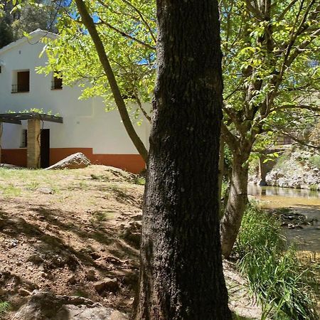 Casa Rural Molino Jaraiz Yeste Bagian luar foto